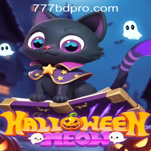 HalloweenMeow: Dive into the Spooky Adventure with a Feline Twist